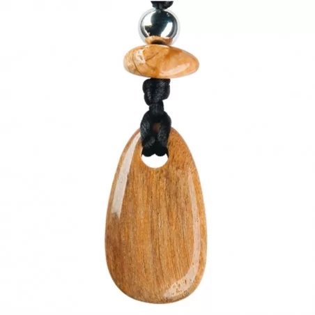 Kraftstein-Halskette Versteinertes Holz (Erdung)